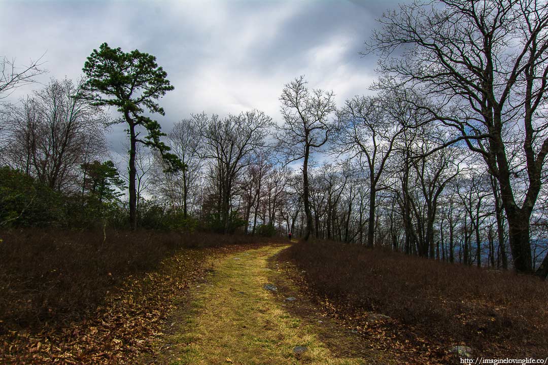 mount tammany fire road